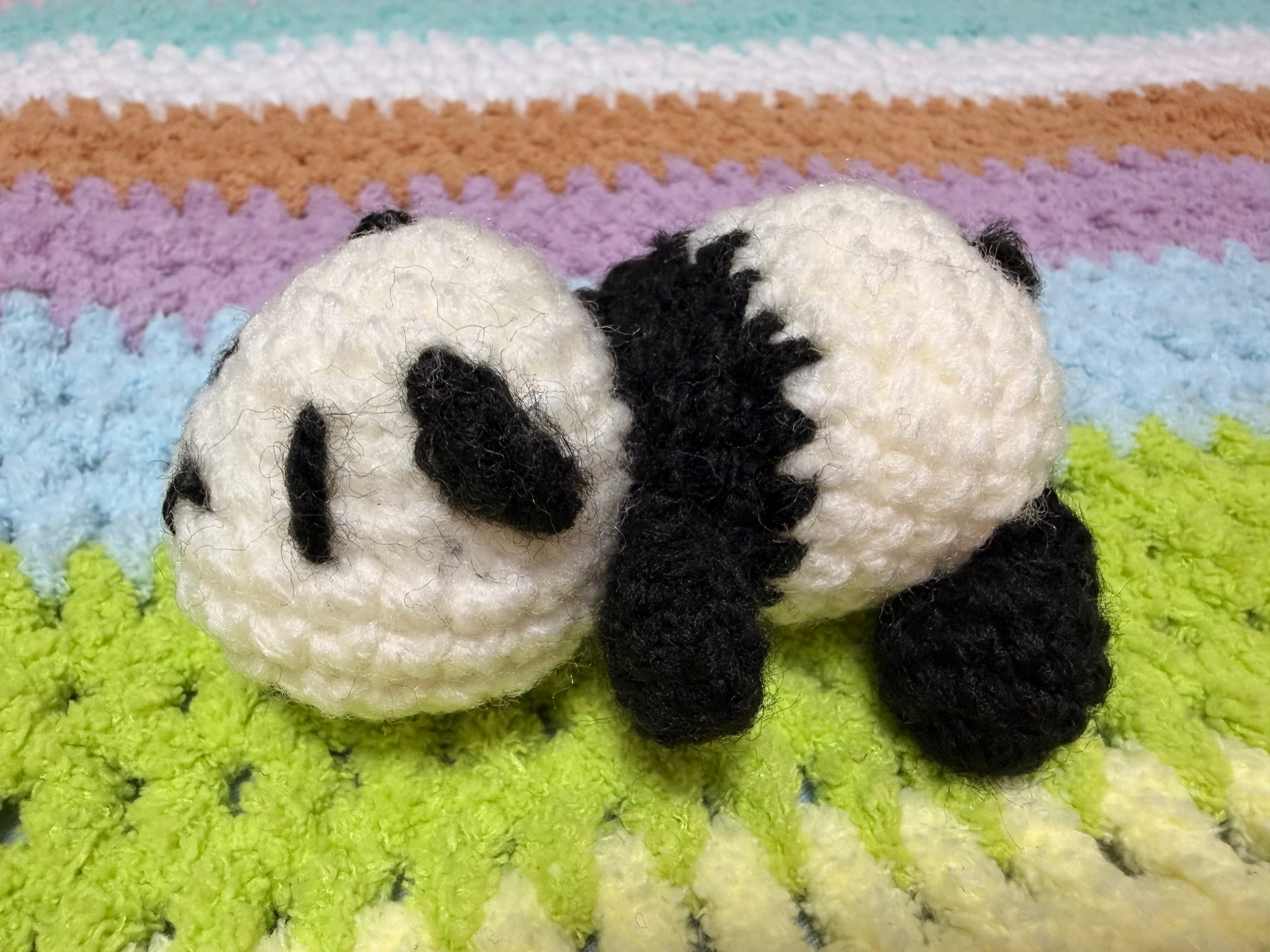 A Little Panda, A Gentle Wish